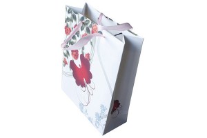 gift bag paper bag shopping bag lower prices10325