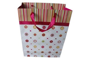 Chinese Professional Document Bag -  gift bag paper bag shopping bag lower prices10359 – Kingstone