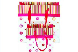 gift bag paper bag shopping bag lower prices10402