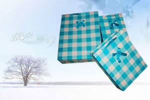 Wholesale Price China China Bags Trader -  gift bag paper bag shopping bag lower prices10274 – Kingstone