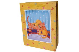 gift bag paper bag shopping bag lower prices10409