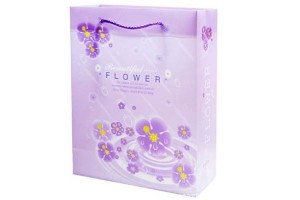 plastic bags shopping bag packing bags at lower prices10127