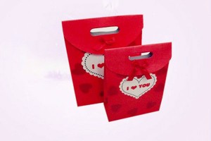 gift bag paper bag shopping bag lower prices10286