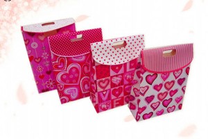 gift bag paper bag shopping bag lower prices10261