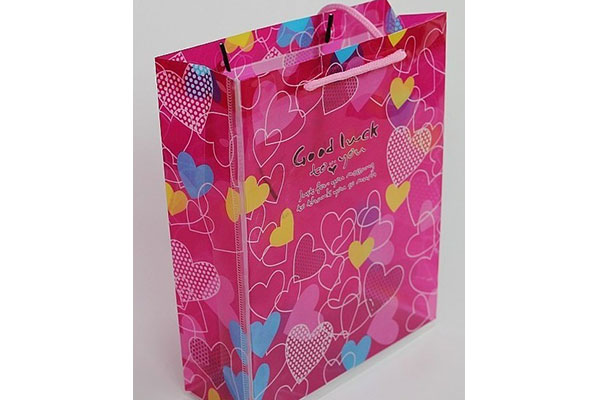 Good Quality Gift Bag - plastic bags shopping bag packing bags at lower prices10150 – Kingstone