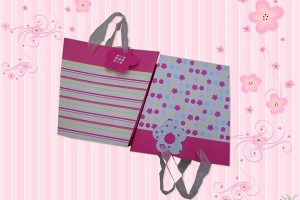 gift bag paper bag shopping bag lower prices10297