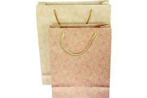 gift bag paper bag shopping bag lower prices10231