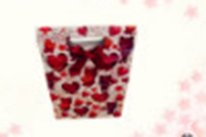 gift bag paper bag shopping bag lower prices10293