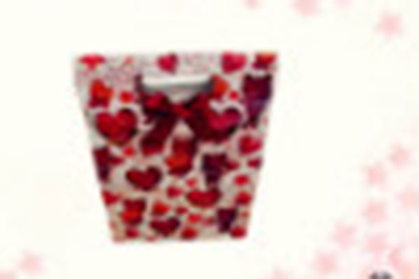 Factory Cheap Hot Copy Bags China -  gift bag paper bag shopping bag lower prices10293 – Kingstone