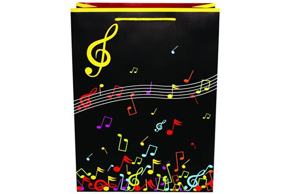 High Quality Paper Bag -  gift bag paper bag shopping bag lower prices10405 – Kingstone