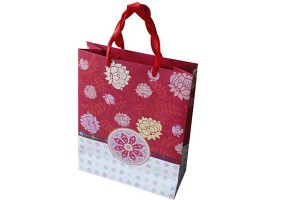 China Cheap price Plastic Bag - gift bag paper bag shopping bag lower prices10326 – Kingstone