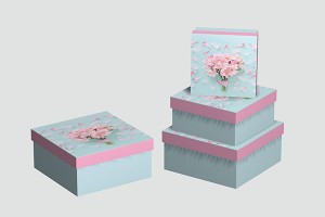 gift box for men or women paper box storage box10028