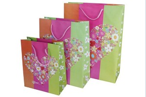 gift bag paper bag shopping bag lower prices10339