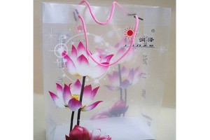 plastic bags shopping bag packing bags at lower prices10149