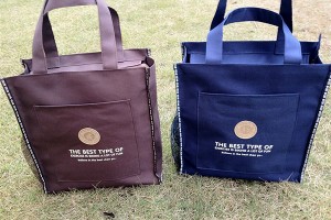 shopping bag promotion bags lower prices10187