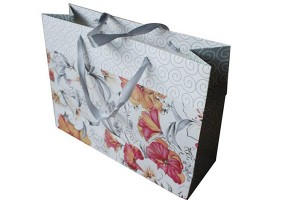 gift bag paper bag shopping bag lower prices10333