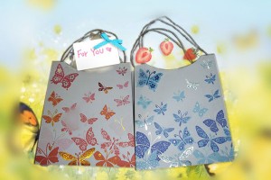 gift bag paper bag shopping bag lower prices10303