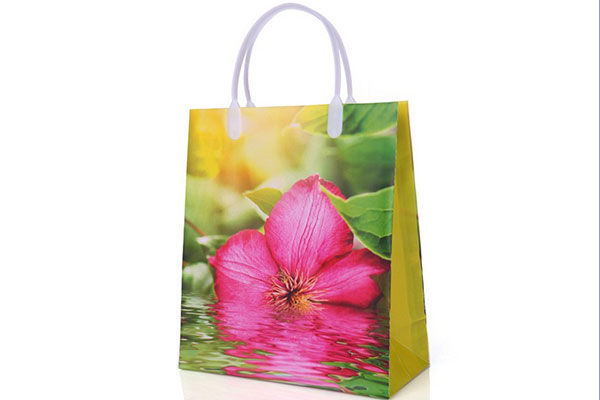 Wholesale Price China China Bags Trader - plastic bags shopping bag packing bags at lower prices10130 – Kingstone