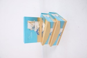 gift box for men or women paper box storage box10021