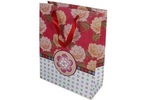 gift bag paper bag shopping bag lower prices10341