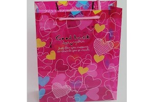 plastic bags shopping bag packing bags at lower prices10148